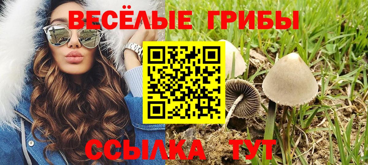 Псилоцибиновые грибы ЛСД Людиново