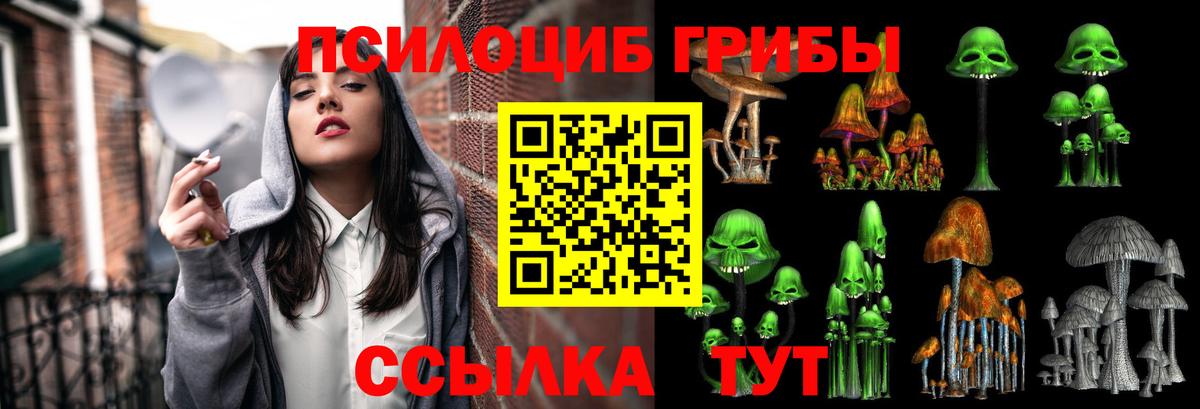 Псилоцибиновые грибы Magic Shrooms  дарнет шоп  Людиново  Галлюциногенные грибы прущие грибы  Вход с VPN 